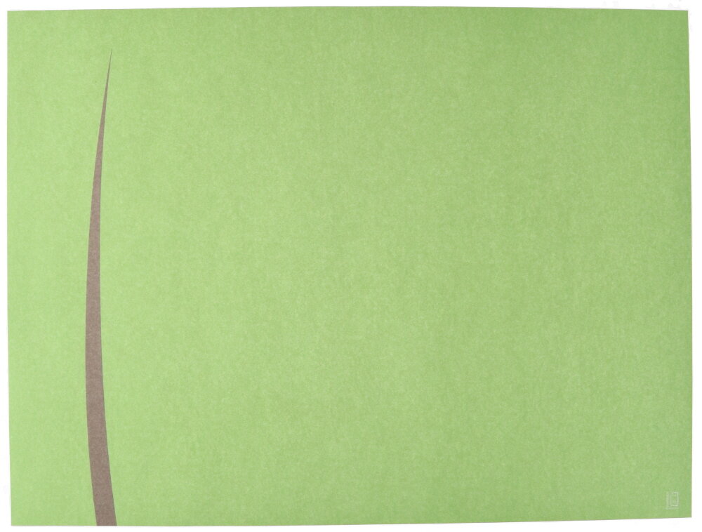Placemat BARI PISTACHE BROWN 4x250st.