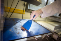 Vikan Metaaldetecteerbare Handschraper 7,5cm Blauw &ndash; Smal &amp; Ergonomisch | Voor Hardnekkig Vuil