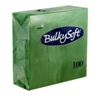 Bulkysoft 2-Laags Groen Servetten 33 x 33 cm, 1/4 Vouw, Doos van 2000 Stuks