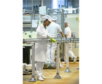 Vikan Harde Afwasborstel Met Korte Steel 270mm Limoen