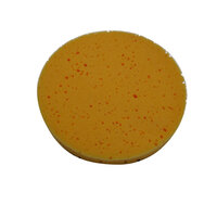 iVo "Power Brush XL" Spons pad 