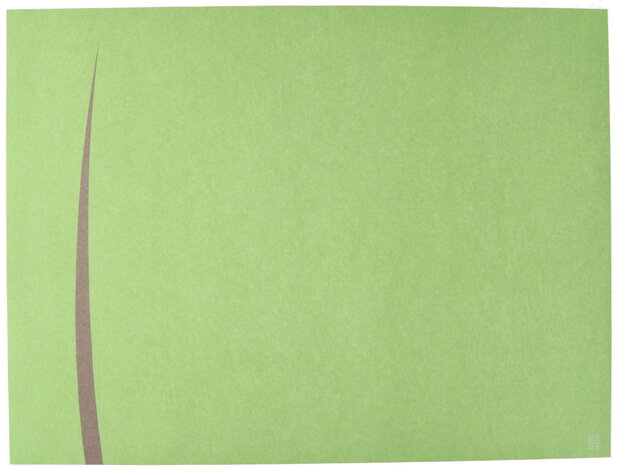 Placemat BARI PISTACHE BROWN 4x250st.