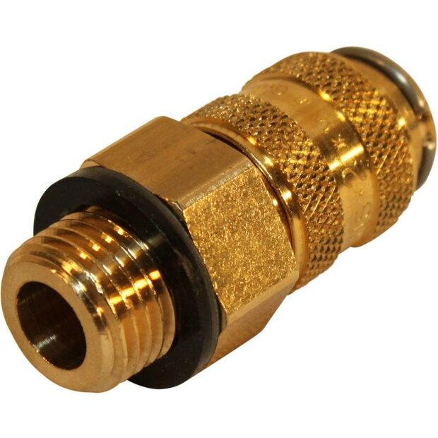 Rectus V 1/4 bu