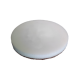 iVo 