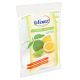 Blixer Toiletblok Citrus 12x40gr in doos